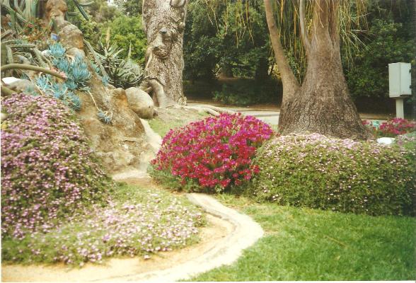 giardino botanico di napoli -11